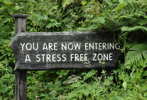 photo of a sign post in beautiful green nature that reads You are now entering a stree free zone - reducing stress in recovery - hired power breakaway