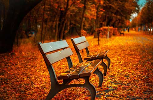 park benches covered in beautiful and surrounding fall leaves - awakening - breakaway young men's transitional living for young adult men in costa mesa, california